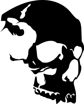 a black and white skull silhouette on a white background