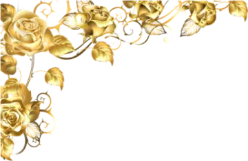 a gold rose border with white background