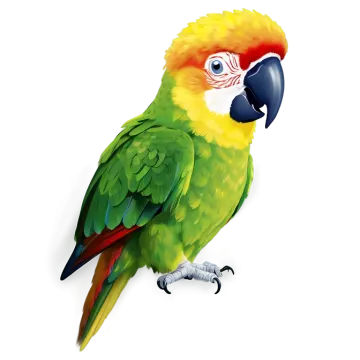 a green and yellow parrot perched on a white background