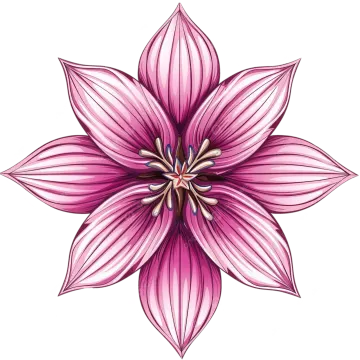 a pink flower on a white background