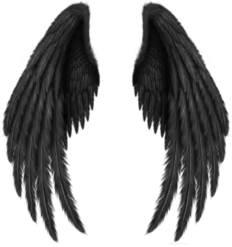 two black wings on a white background