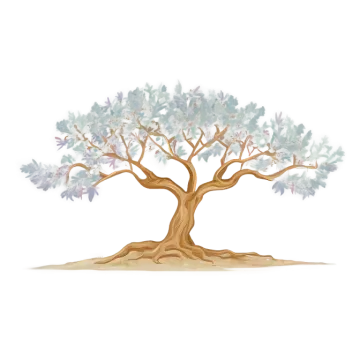 an olive tree on a white background