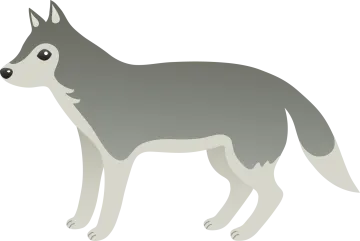 a gray and white dog with black eyes