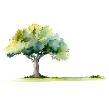 a watercolor painting of an olive tree
