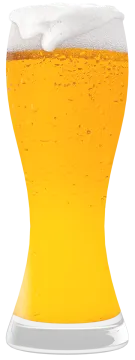 a glass of beer on a white background