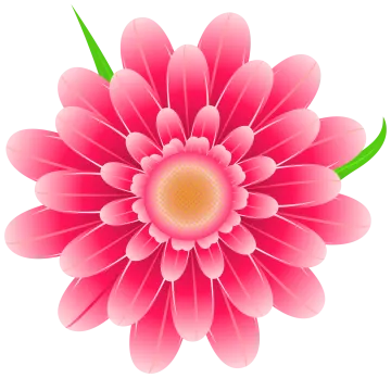 a pink flower on a white background