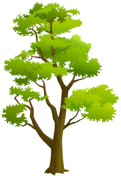 a green tree on a white background