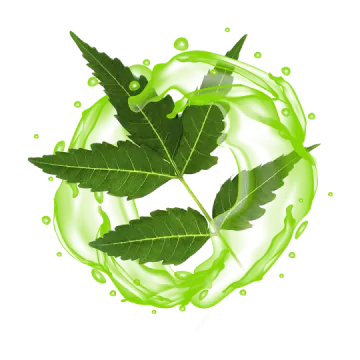 a green leaf floating in the air
