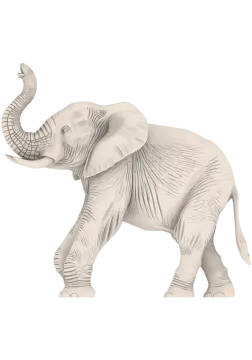 an elephant standing on a white background