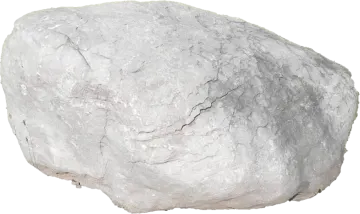 a large rock on a white background
