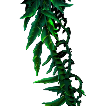 a bunch of green leaves on a white background