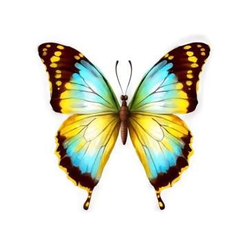 a colorful butterfly on a white background