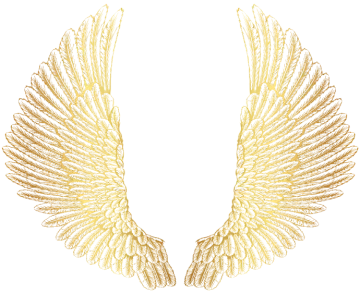 a pair of wings on a white background