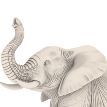an elephant is standing in front of a white background