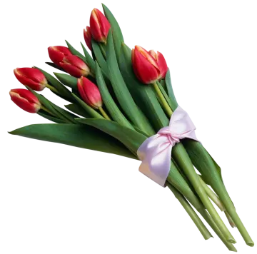 a bunch of red and yellow tulips