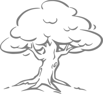 an oak tree with a white background