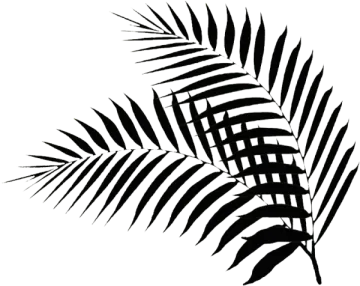 a black and white silhouette of a palm leaf