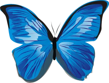 a blue butterfly on a white background