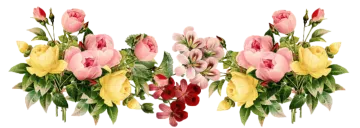 a bunch of flowers on a white background