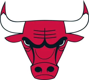 the chicago bulls logo