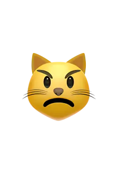 an image of a cat with a sad face
