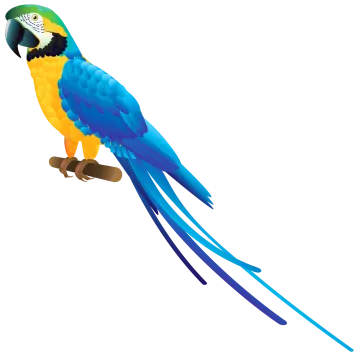 a blue and yellow parrot perched on a branch