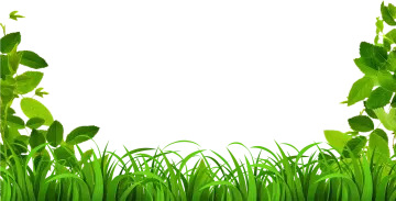 a frame made of green grass and leaves