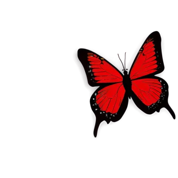a red butterfly on a white background