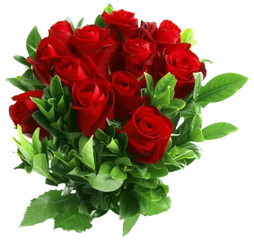 a bouquet of red roses