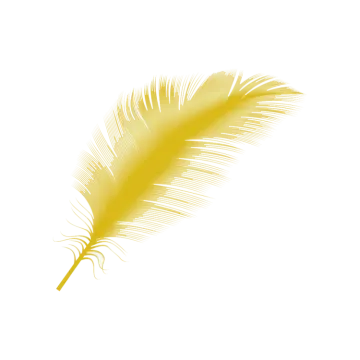 a yellow feather on a white background