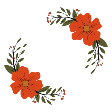 a red flower on a white background