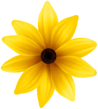 a yellow flower with black center