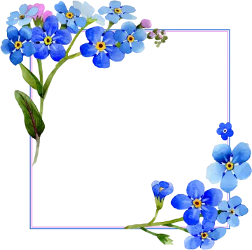 a frame with blue flowers on it