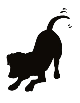 a black silhouette of a dog running