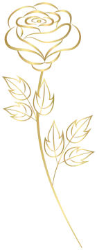 a gold rose on a white background