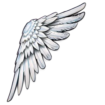 a white wing with black and white wings