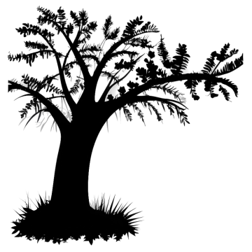 a black and white silhouette of a tree