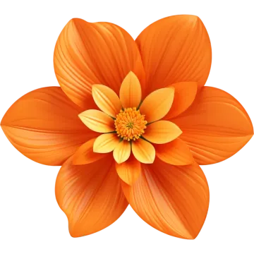 an orange flower on a white background