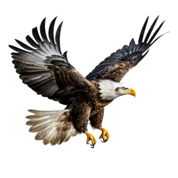 an eagle in flight with its wings spread