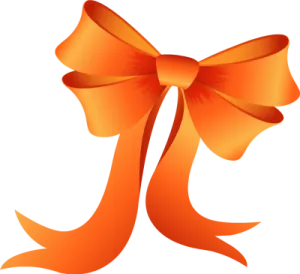 an orange bow on a white background