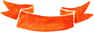 a pair of orange hair on a white background