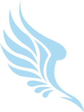 a blue wing with white wings on it
