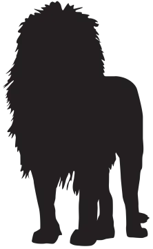 a lion silhouetted on a white background