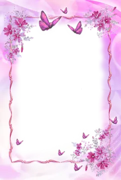a frame with pink flowers and butterflies