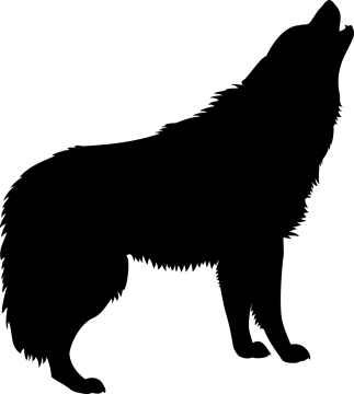 a wolf silhouetted on a white background