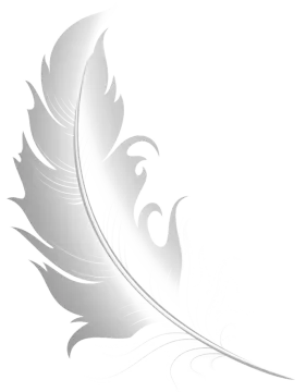a feather on a white background