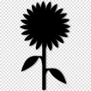 a black and white silhouette of a flower