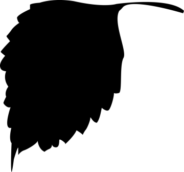 a black and white silhouette of a man's head