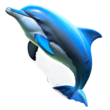 a dolphin jumping in the air with its mouth open