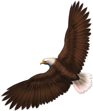 an eagle flying in the air